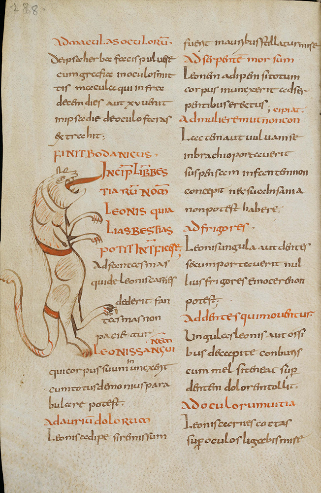 Sample page - Stiftsbibliothek St. Gallen Cod. Sang. 217