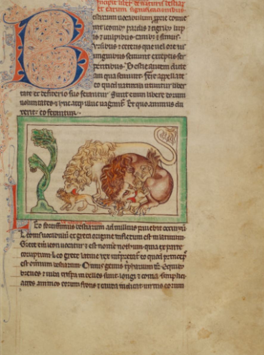 Sample page - J. Paul Getty Museum Ms 100 (Northumberland Bestiary)