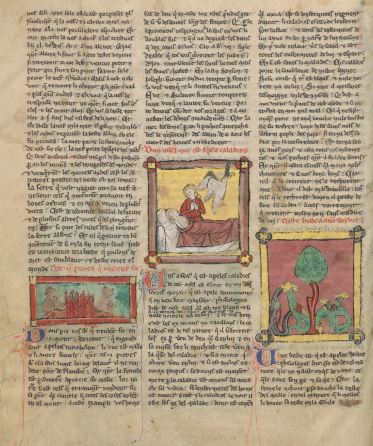 Sample page - Bibliothèque de l'Arsenal Ms-3516