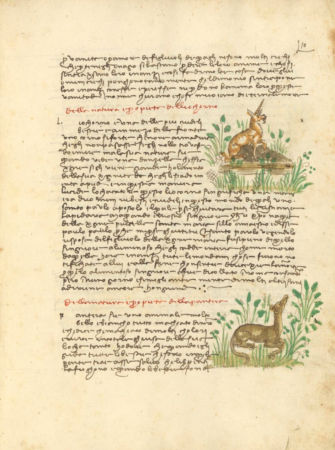 Sample page - Wellcome MS. 132