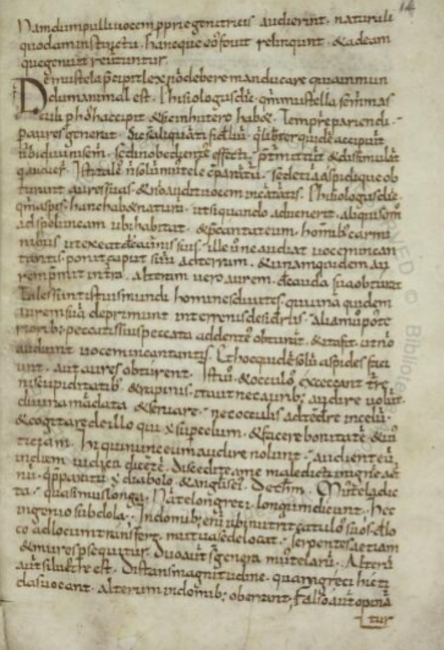 Sample page - Biblioteca Apostolica Vaticana Pal lat.1074