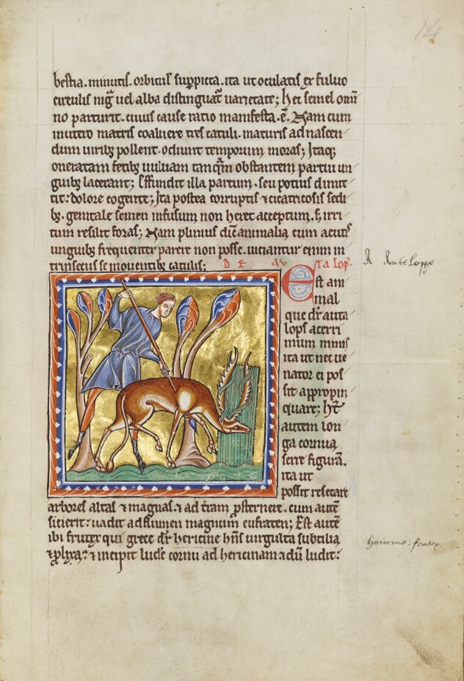 Sample page - Bodleian Library MS. Ashmole 1511