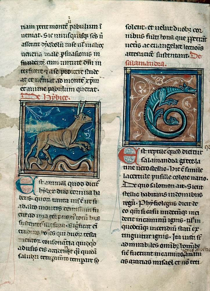 Sample page - Bibliothèque Municipale de Chalon-sur-Saône MS 14