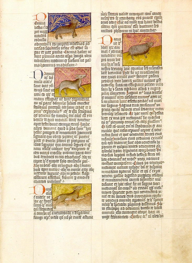 Sample page - Biblioteca Universitaria de Granada C-67