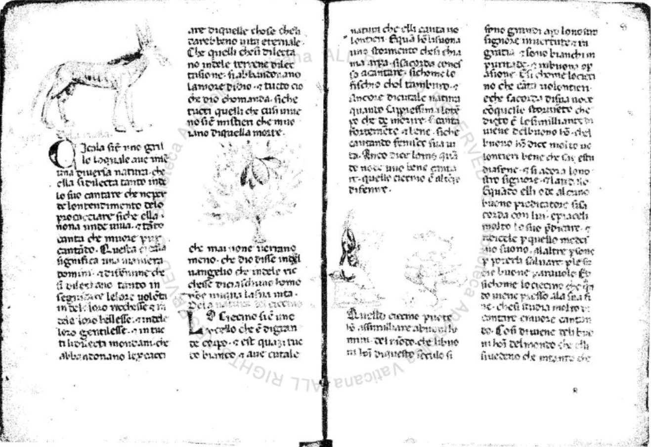 Sample page - Biblioteca Apostolica Vaticana Chig.M.VI.137