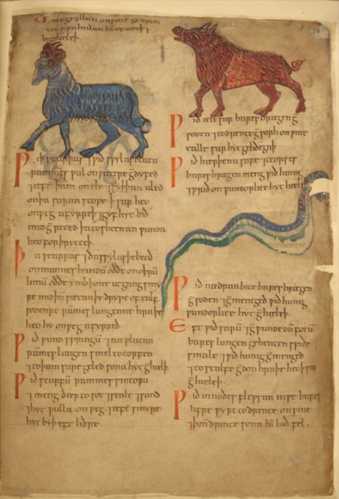 Sample page - British Library Cotton MS Vitellius C III