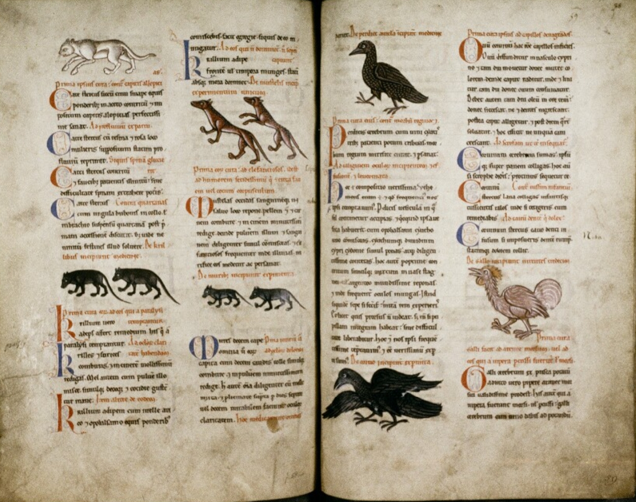 Sample page - Bodleian Library MS. Ashmole 1462