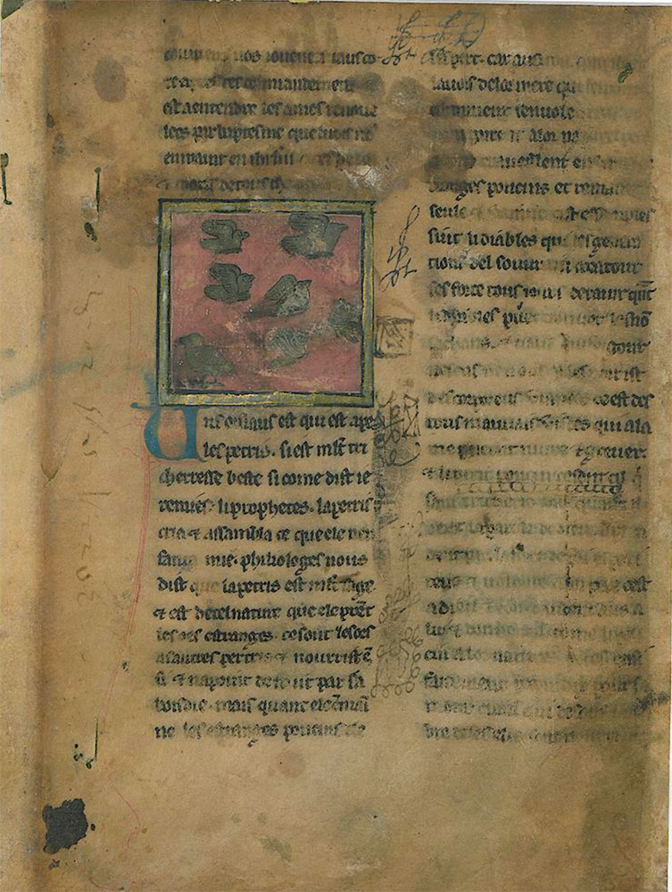 Sample page - Universitätsbibliothek Freiburg Ms. 979