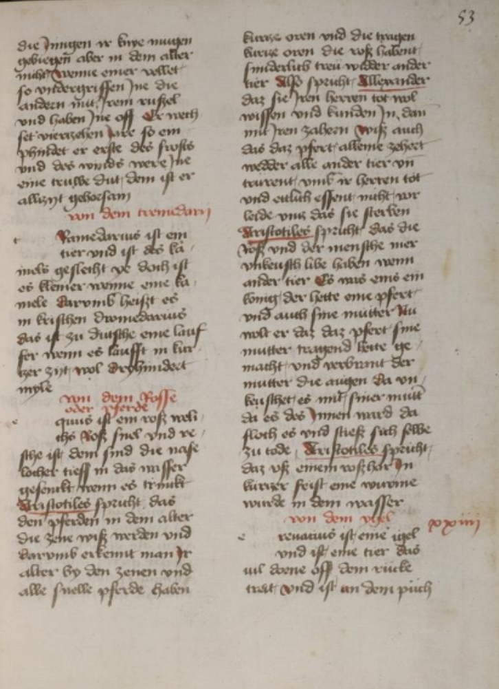 Sample page - Universitätsbibliothek Heidelberg Cod. Pal. germ. 369