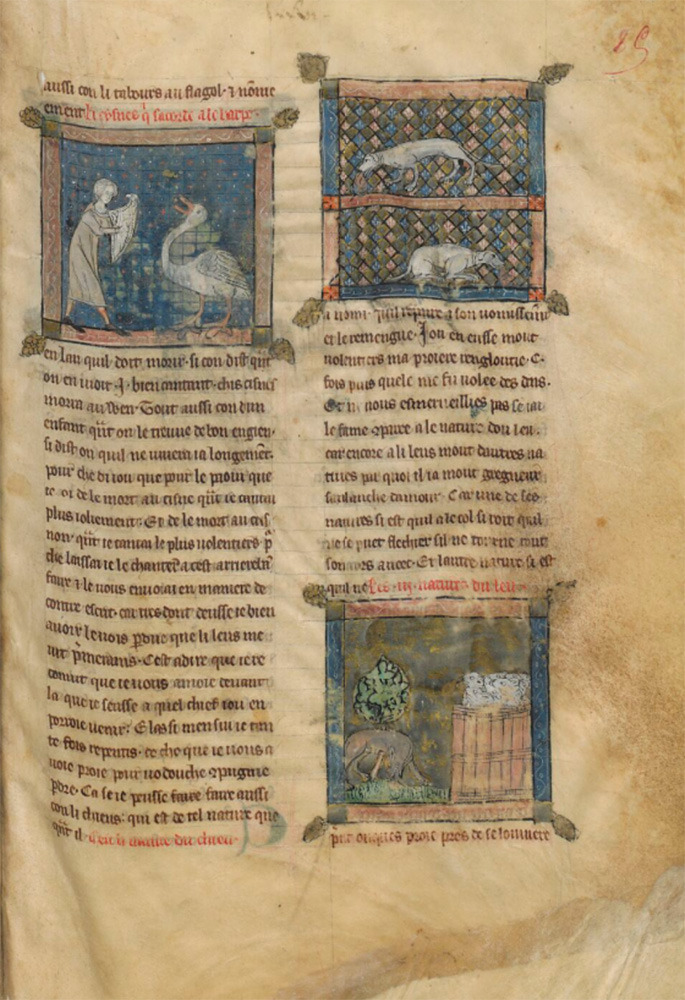 Sample page - Bibliothèque Nationale de France fr. 25566
