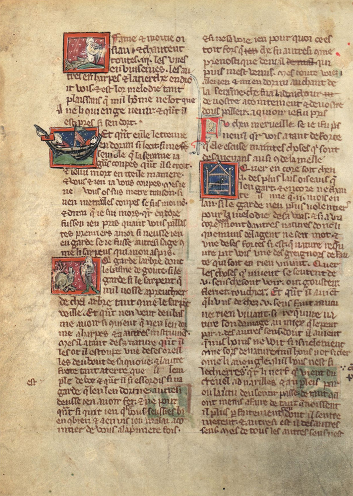 Sample page - Biblioteca Ambrosiana I 78 sup.