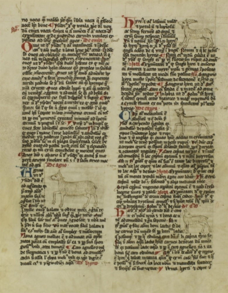 Sample page - Stiftsbibliothek Admont Codex 119