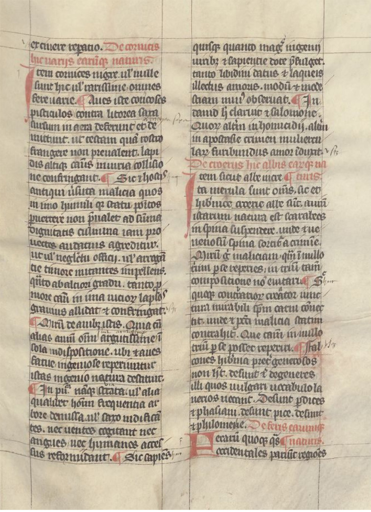 Sample page - Universiteitsbibliotheek Leiden BPL 13