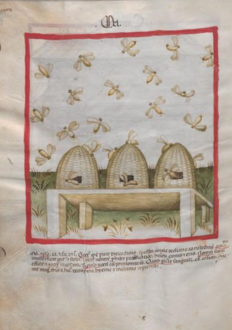 Sample page - Osterreichische Nationalbibliothek Cod. Ser. n. 2644