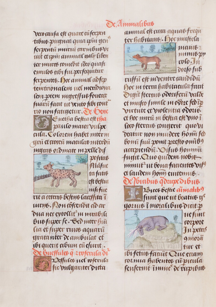 Sample page - Hoofdbibliotheek Biekorf Brugge Ms. 411