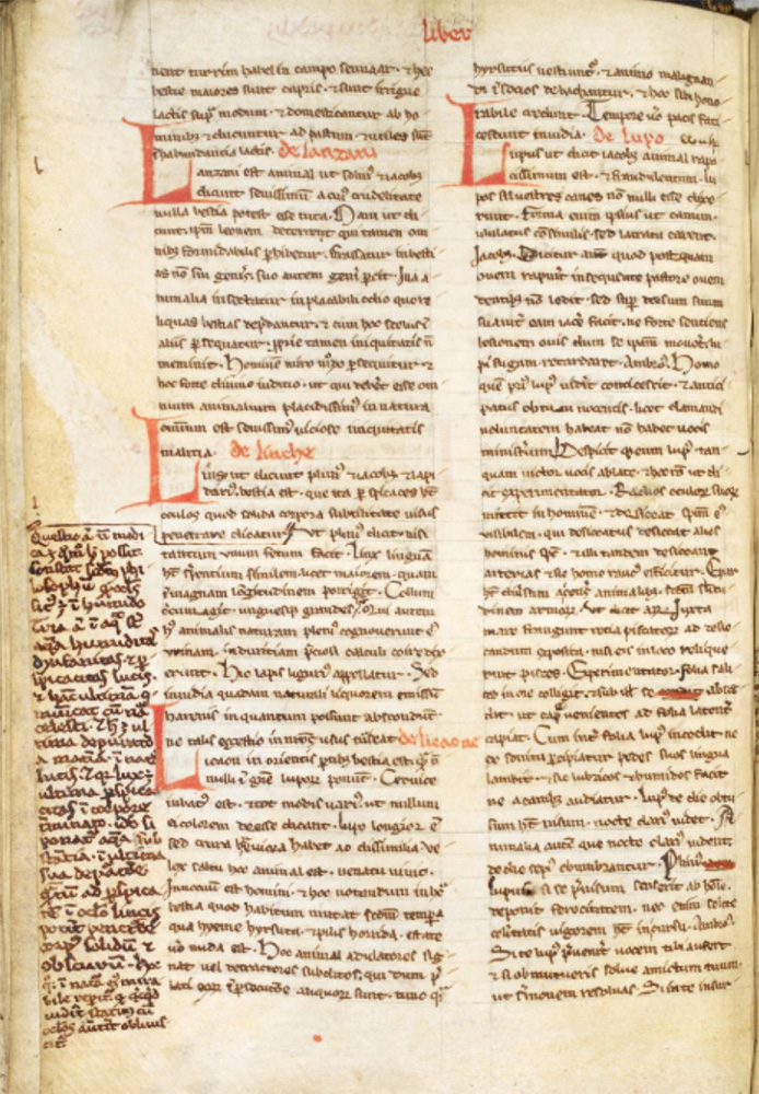 Sample page - British Library Harley MS 3717