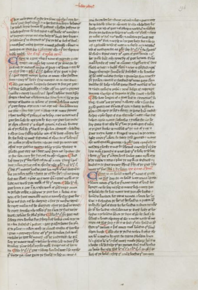 Sample page - British Library Harley MS 614