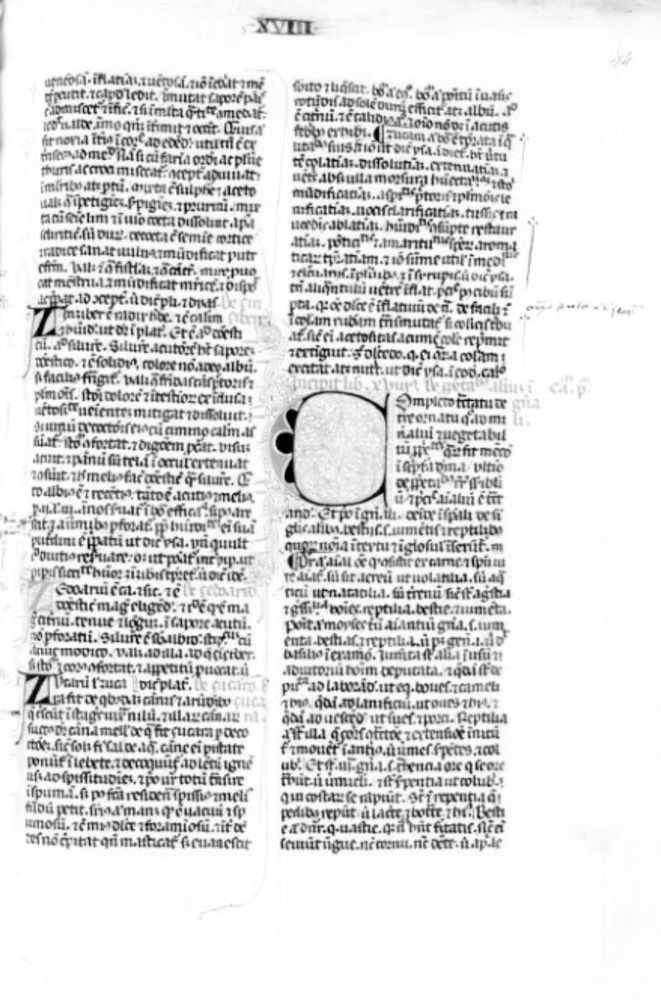 Sample page - Bibliothèque Nationale de France lat. 00347D