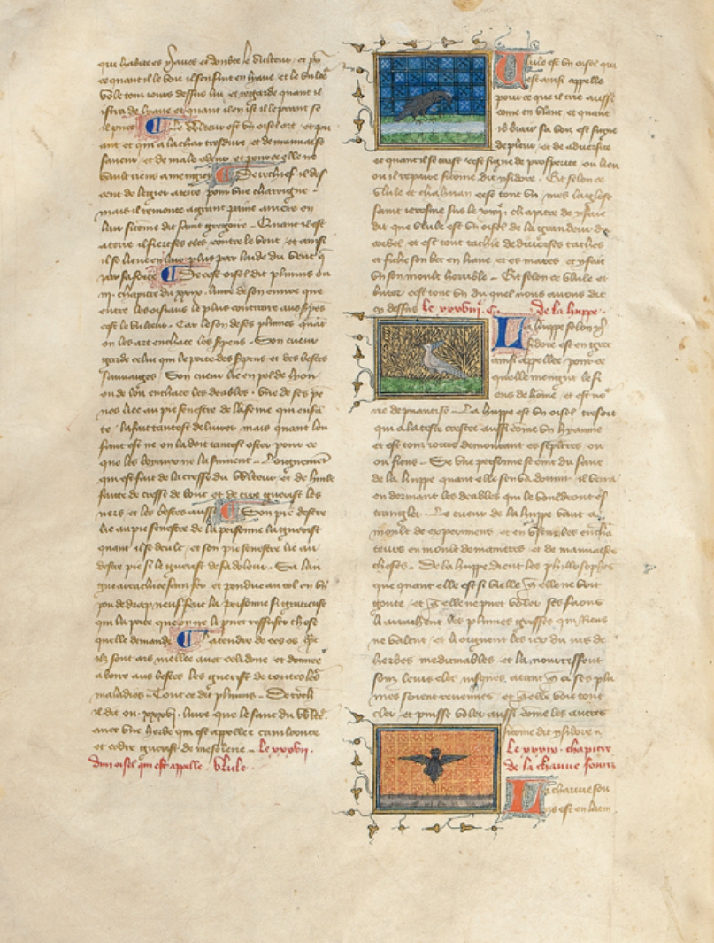 Sample page - Private Library PL02