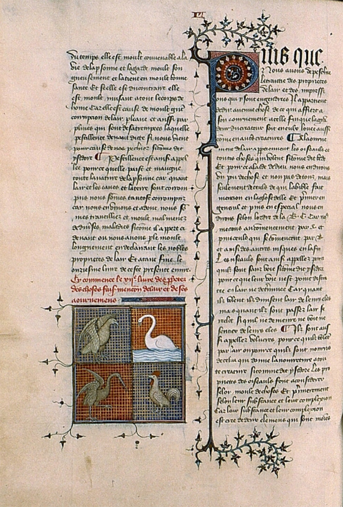 Sample page - Bibliothèque Sainte-Geneviève Ms. 1028