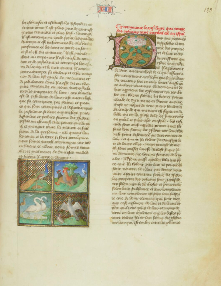 Sample page - Bibliothèque Nationale de France fr. 9141