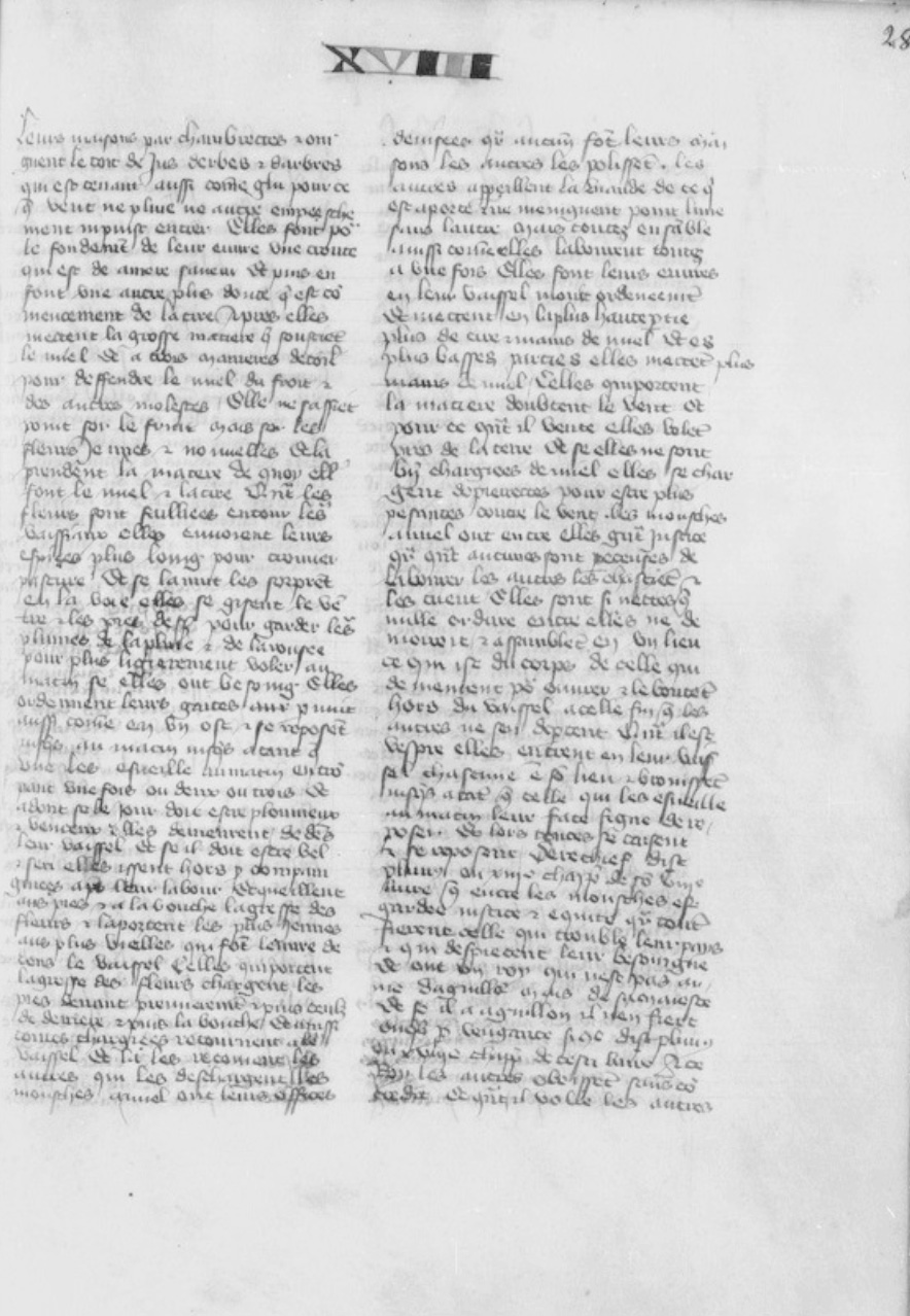 Sample page - Bibliothèque Nationale de France fr. 12332
