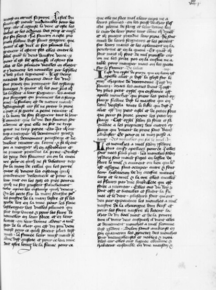 Sample page - Bibliothèque Nationale de France fr. 221