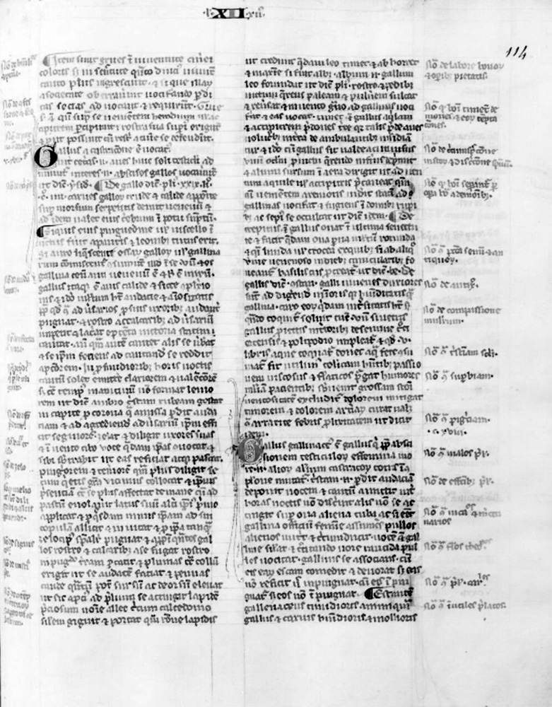 Sample page - Bibliothèque Nationale de France lat. 15447 