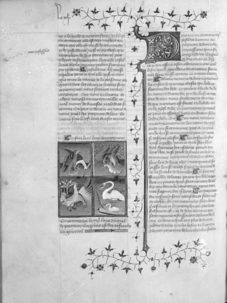 Sample page - Bibliothèque Nationale de France fr. 22531