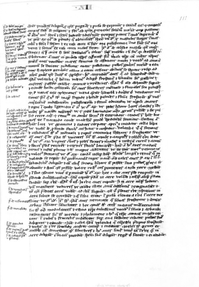 Sample page - Bibliothèque Nationale de France lat. 16099