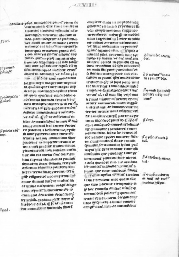 Sample page - Bibliothèque Nationale de France lat. 12967