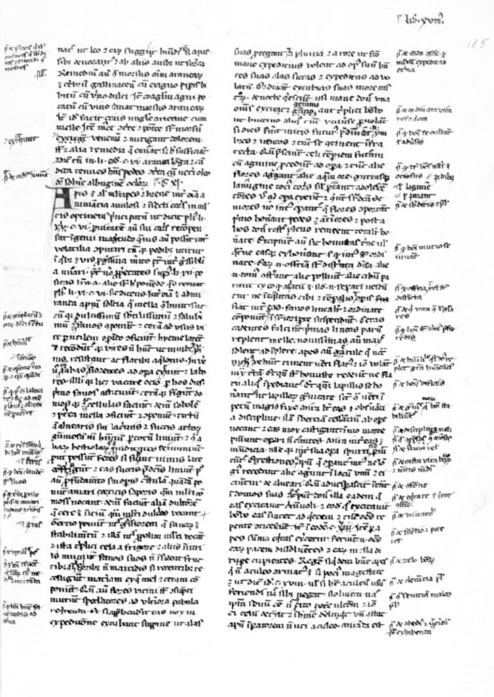 Sample page - Bibliothèque Nationale de France lat. 16098