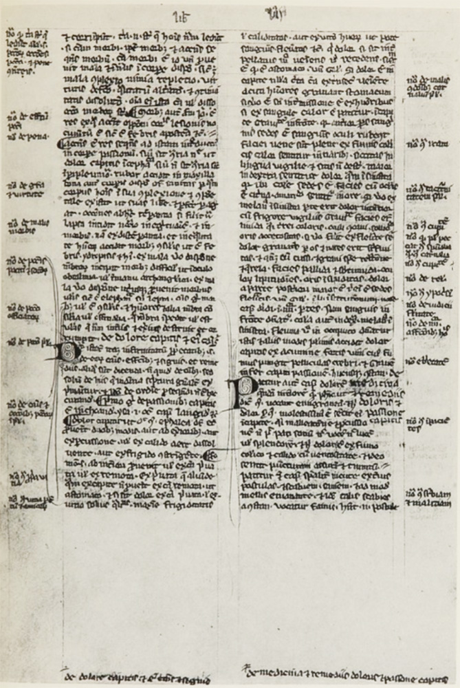Sample page - National Library of Medicine MS. 7