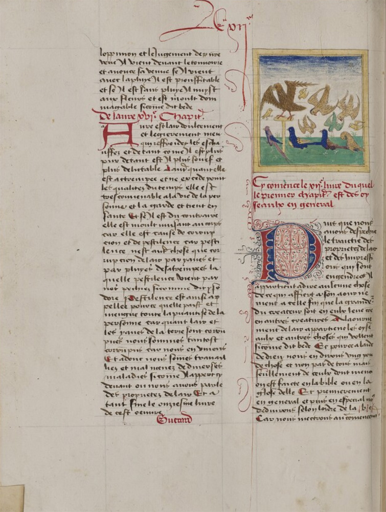 Sample page - Bibliothèque Municipale de Tours MS 703