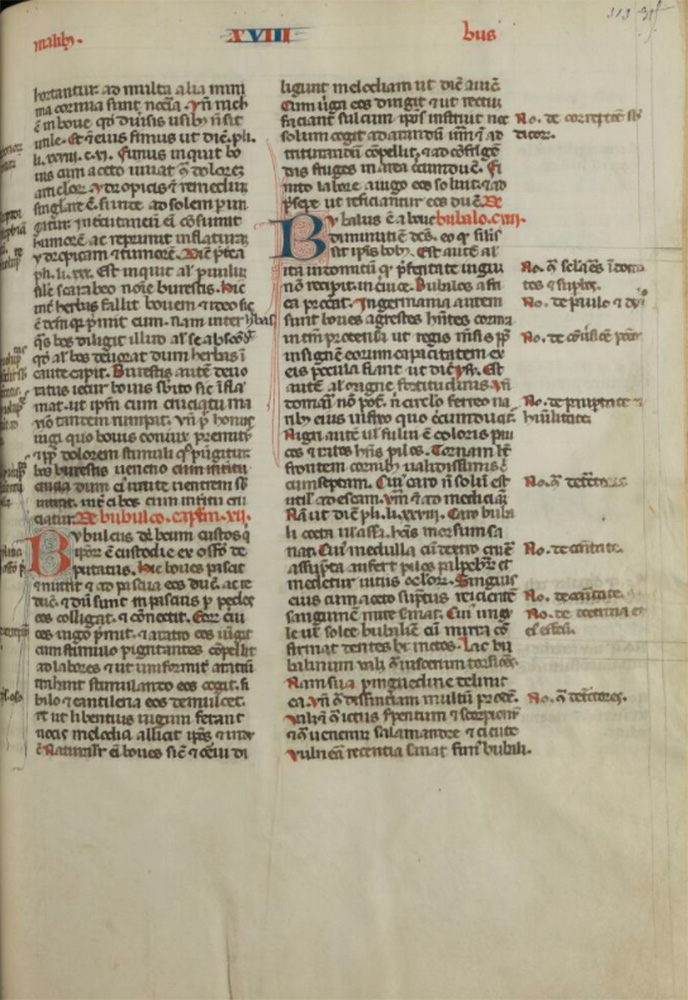 Sample page - Bibliothèque Municipale de Toulouse (Étude et Patrimoine) Ms 225