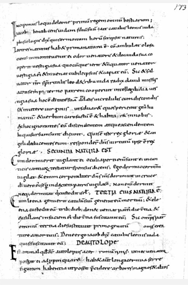 Sample page - Bayerische Staatsbibliothek Clm 14388