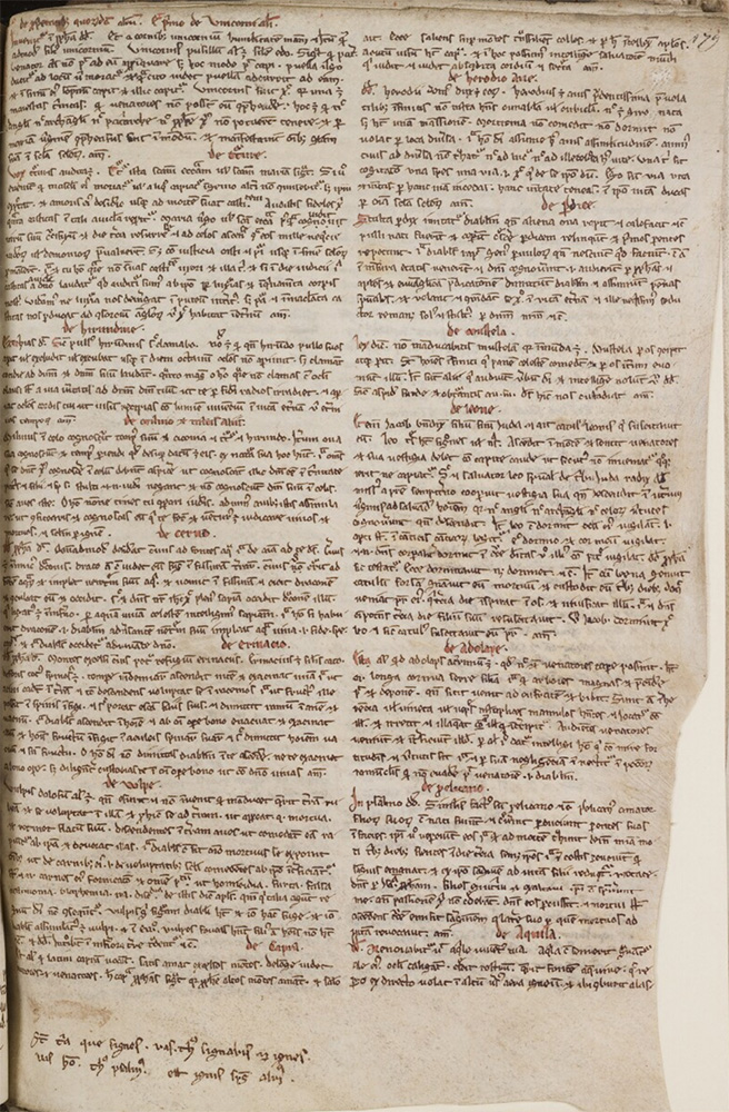 Sample page - Scriptorial of Avranches (Manuscript Museum of Mont Saint-Michel) Ms. 28