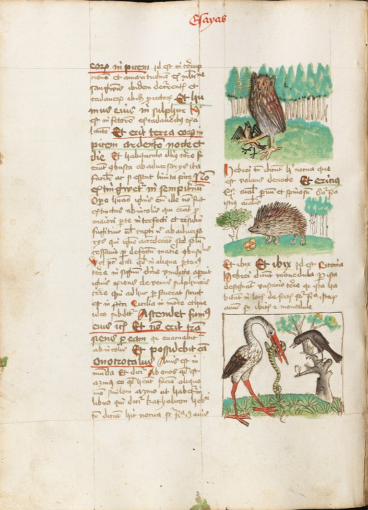 Sample page - Zentral- und Hochschulbibliothe Luzern Msc. 42. fol.