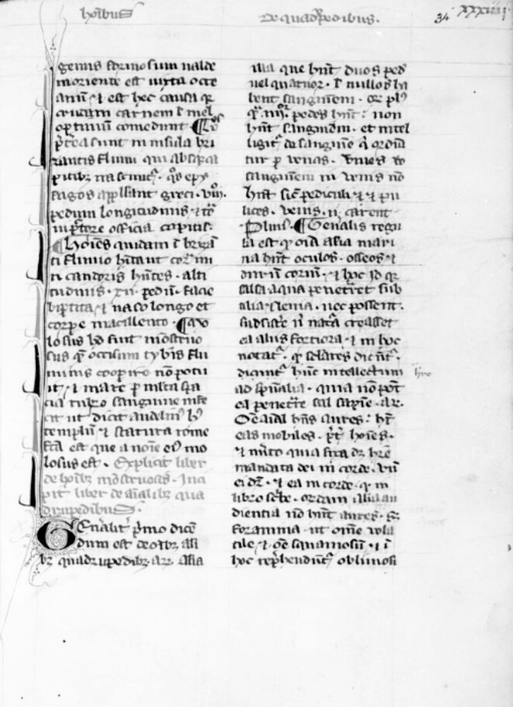 Sample page - Bibliothèque Nationale de France lat. 00347B