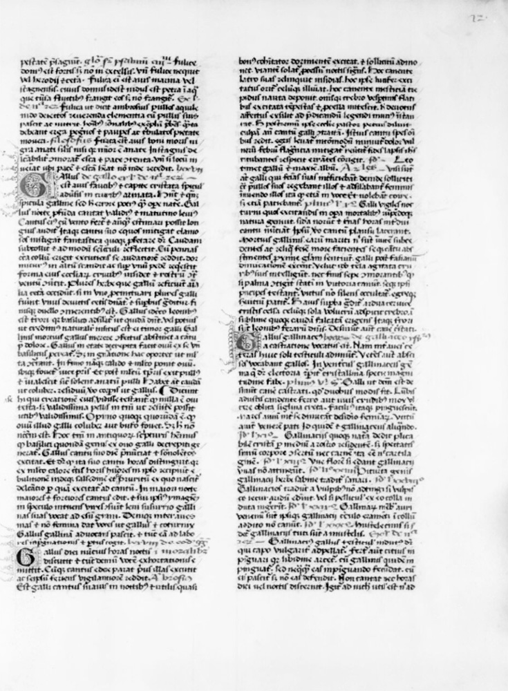 Sample page - Bibliothèque Nationale de France lat. 14388