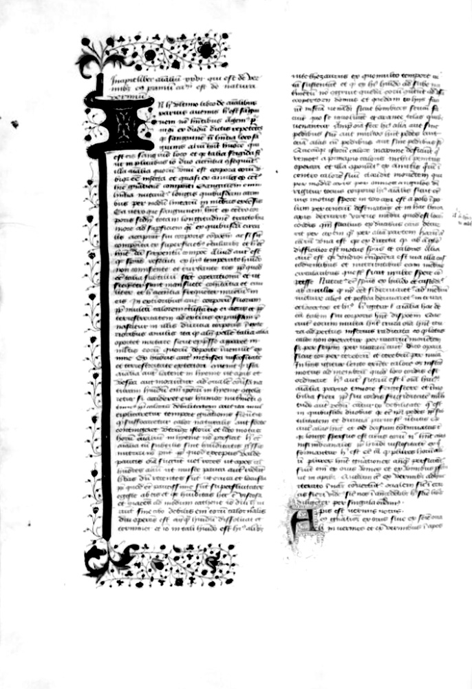 Sample page - Bibliothèque Nationale de France lat. 6517