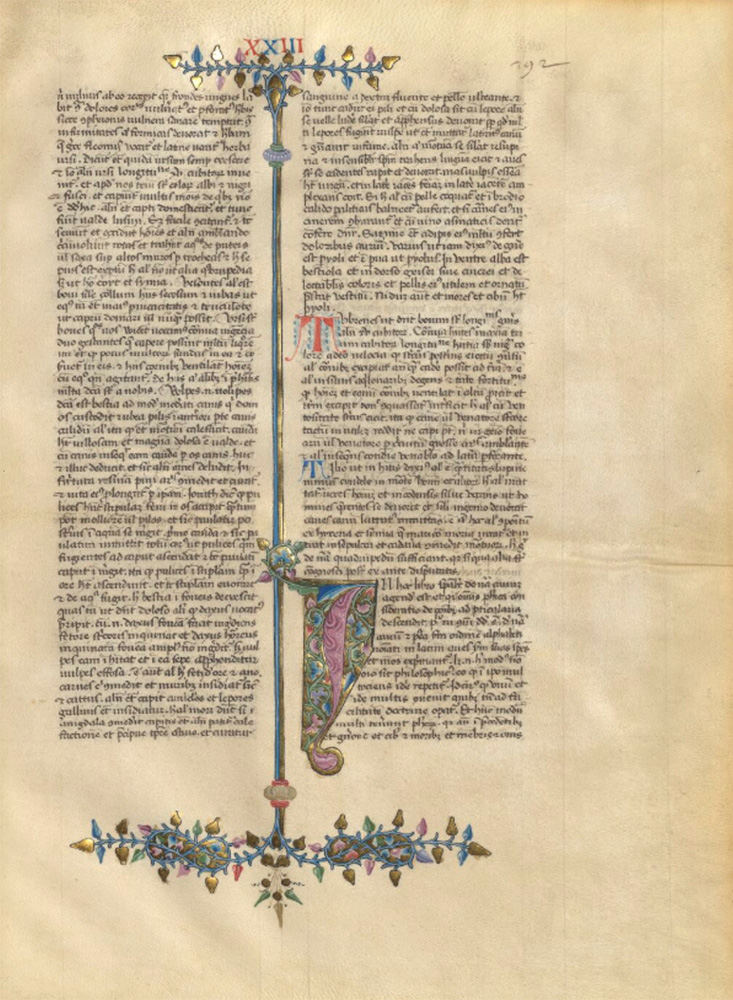 Sample page - Bibliothèque Nationale de France lat. 6520