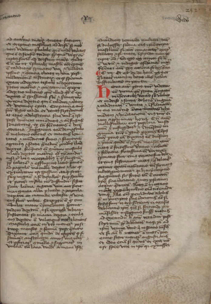 Sample page - Bibliothèque Nationale de France lat. 14727-14728