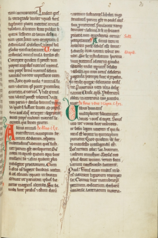 Sample page - Trinity College Library (Cambridge) R.16.4