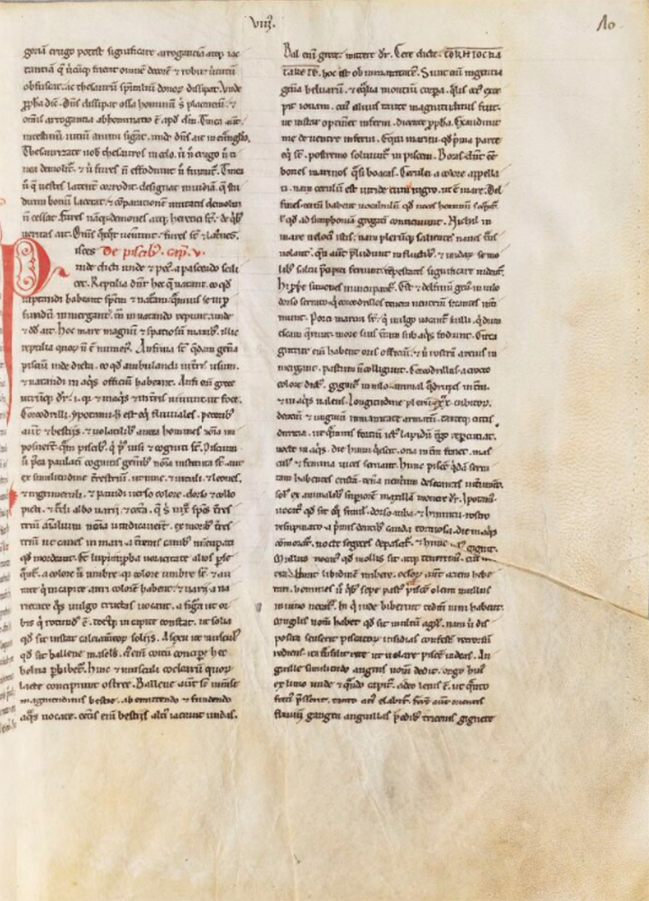 Sample page - Bibliothèque Nationale de France lat. 07608