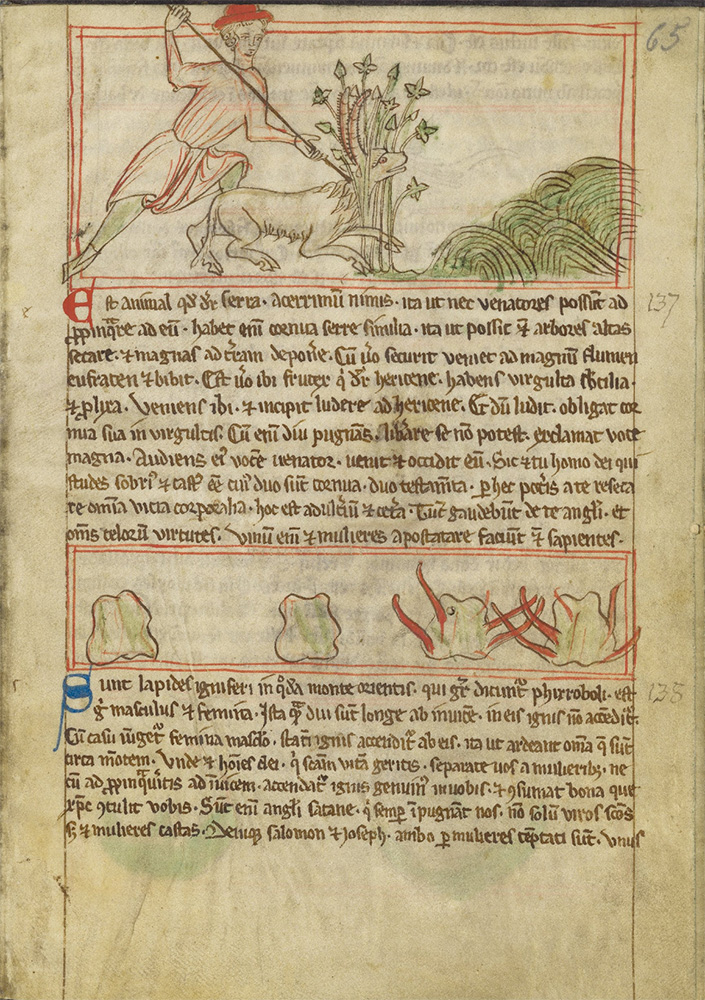 Sample page - Staats- und Universitätsbibliothek Hamburg Cod. 47 in scrinio