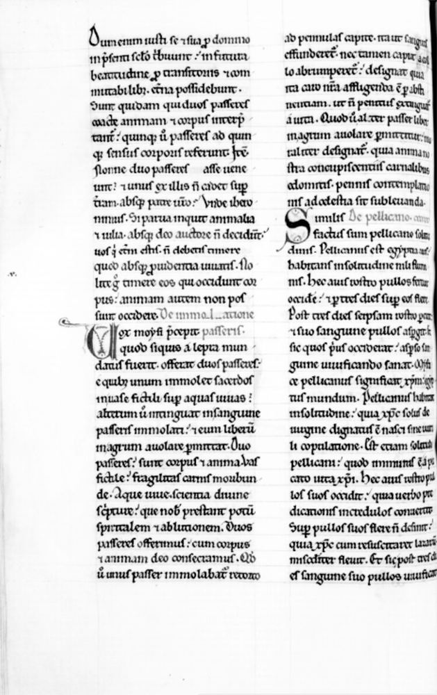Sample page - Bibliothèque Nationale de France lat. 14512