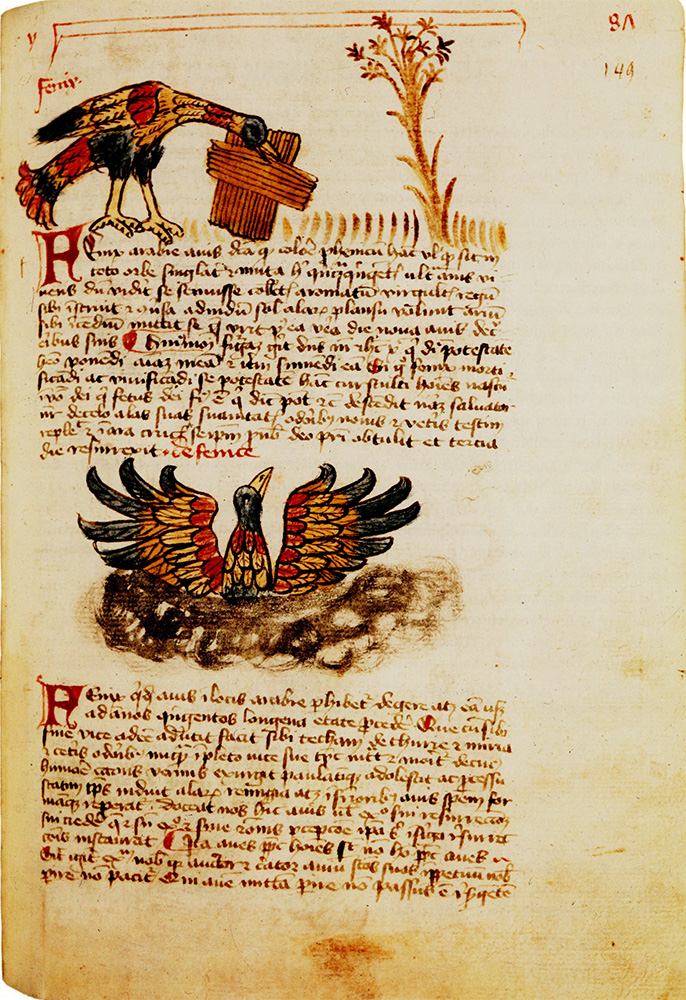 Sample page - Universitätsbibliothek Augsburg Cod.II.1.2° 109