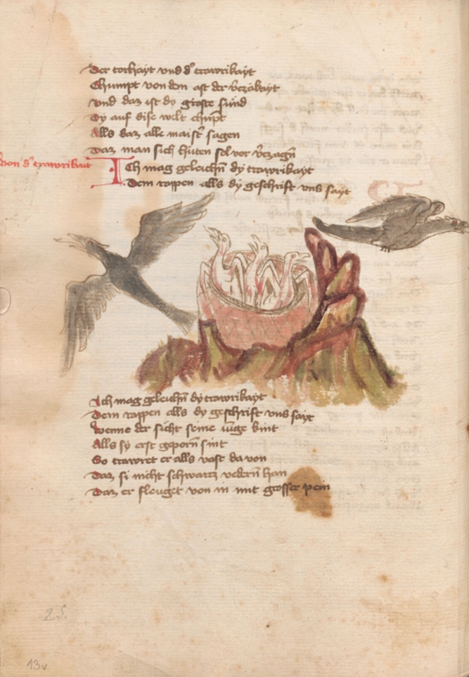 Sample page - Osterreichische Nationalbibliothek Cod. 13567