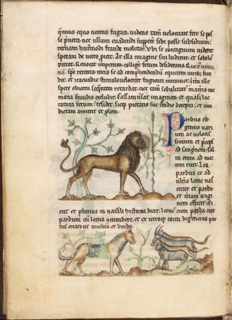 Sample page - Bibliothèque Municipale de Douai MS 711